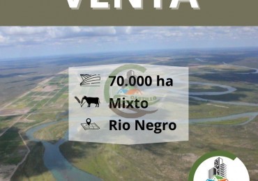 70000 ha Mixto - Rio Negro