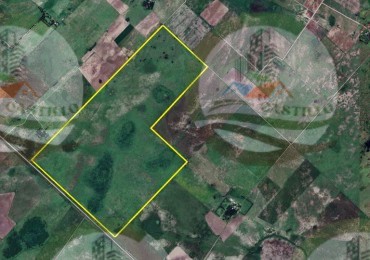 230 Ha Mixto - Brandsen