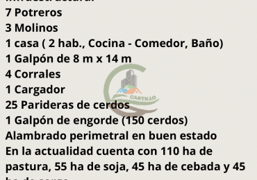256 ha Mixto - Saladillo