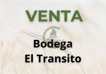 Bodega - Cafayate