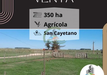350 ha Agricolas - San Cayetano