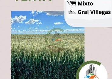 775 ha mixtas - general villegas