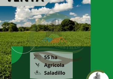 55 ha Agricolas - Saladillo