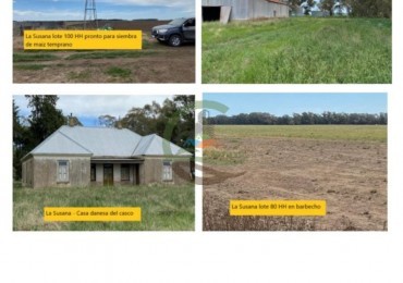 536 ha Agricolas - San Cayetano