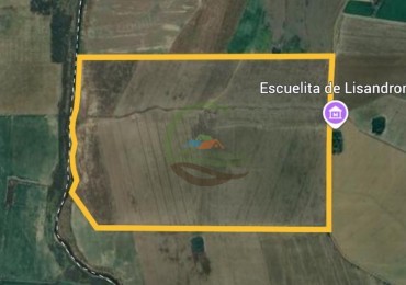 300 Ha Agricolas - Armstrong - Santa Fe
