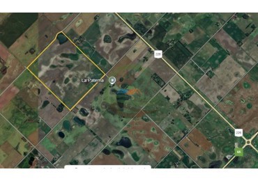 101 Ha Agricolas - Bolivar - Alquiler