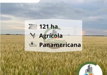 121 ha agricola - panamericana