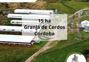 15 ha granja porcina - cordoba