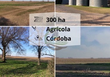 312 ha Agricolas - Cordoba