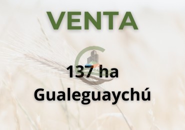 137 ha agricolas - Gualeguaychu
