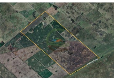 552 ha agricolas - gral alvear