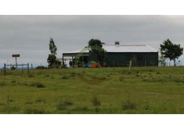 1100 Ha Ganaderas - Tacuarembo - Uruguay 