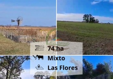 74 ha mixtas - las flores