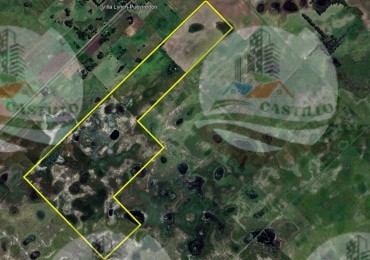 187 ha Mixto - Villa Lynch - Bolivar 