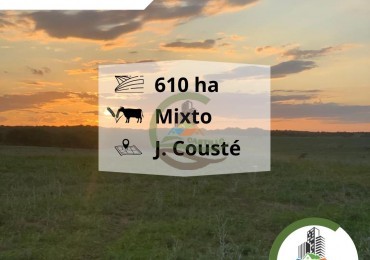 650 ha Mixto - Juan Couste
