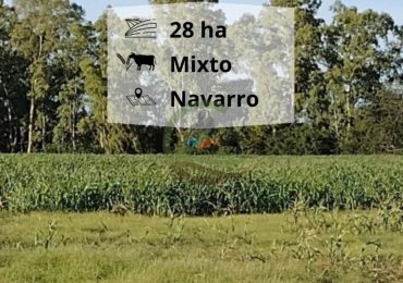 28 ha mixto - navarro