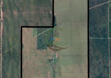 520 Ha Agricolas - Villa Mercedes - San Luis