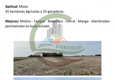 95 ha Mixtas - Cazon