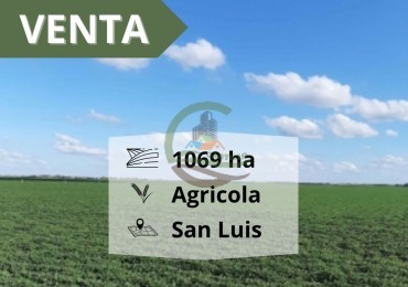 1069 ha Agricolas - San Luis