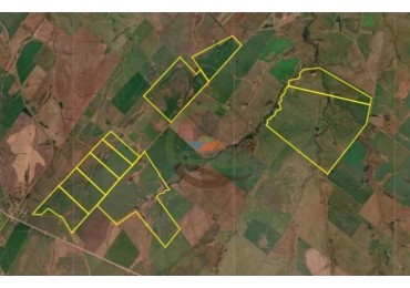 1100 Ha Agricolas - Soriano - Uruguay