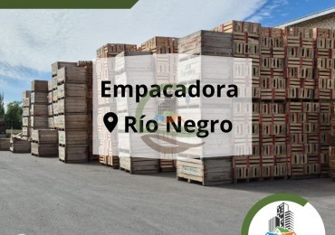 Empacadora de frutas