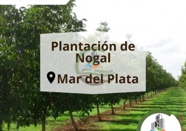 220 ha agricolas - mar del plata