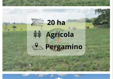 20 ha agricolas - Pergamino 