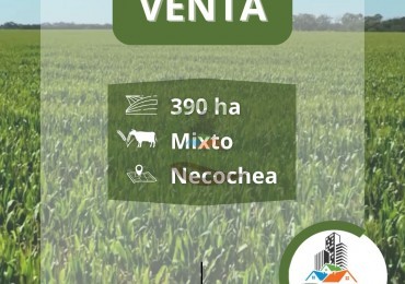 396 ha Mixto - La Dulce