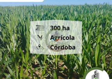 313 ha Agricolas - Chajan - Cordoba