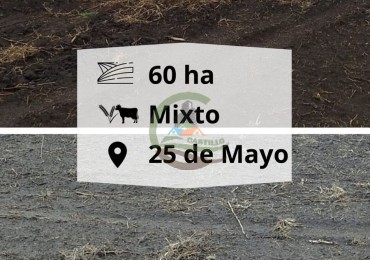 60,5 ha Mixto - 25 de Mayo