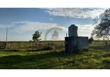 343 Ha Ganadero - Concordia - Entre Rios