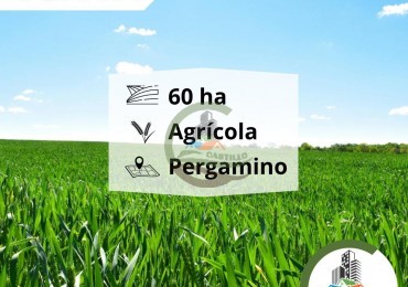 63 ha agricolas - pergamino