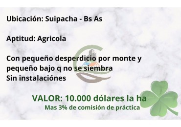 99 ha Agricolas - Suipacha