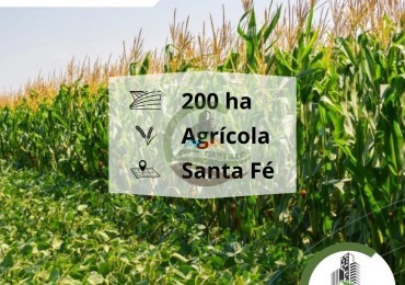 203 ha Agricolas - Santa Fe