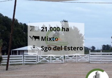 21000 ha mixto santiago del estero