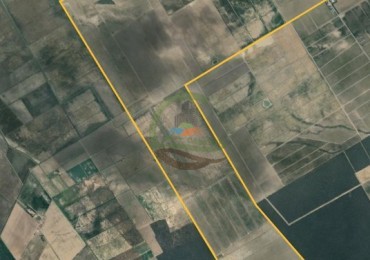 1300 Ha Agricolas - Fernandez - Santiago del Estero