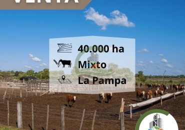 42500 ha mixto - La Pampa