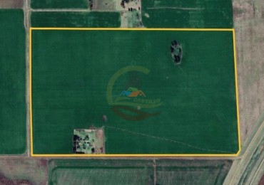 59,5 Ha Agricolas - Polvaredas - Saladillo