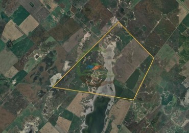 875 Ha Mixto - Carlos Tejedor