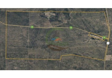 4954 Ha Ganadero - La Adela - La Pampa