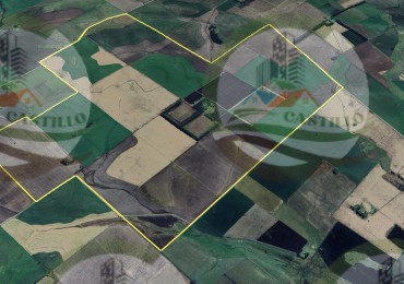 1341 ha Agricolas - Necochea