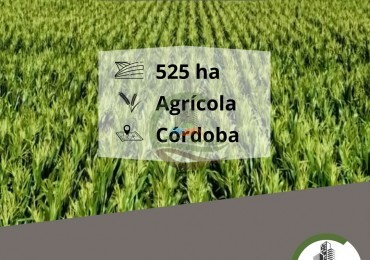 525 ha Agricola - Cordoba
