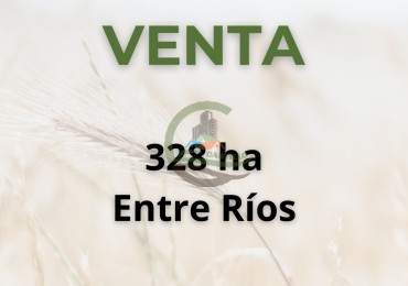 328 ha mixto - entre rios