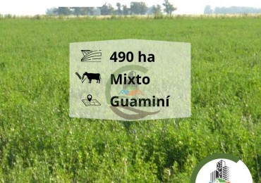 500 ha mixtas - guamini