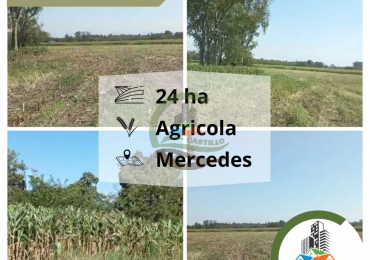 24 ha agricolas - mercedes