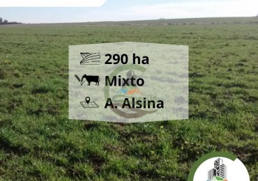 300 ha mixtas - adolfo alsina