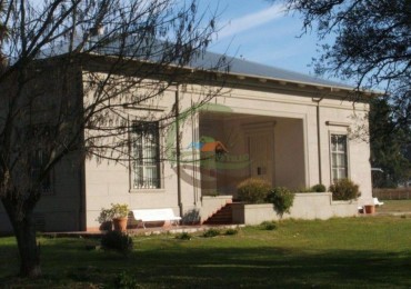 152 Ha Mixtas - Balcarce