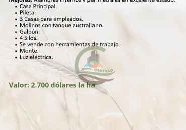 1248 ha mixto - la pampa