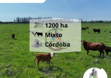 1201 ha mixtas - cordoba