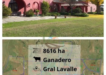 8616 ha Ganadero - Gral Lavalle